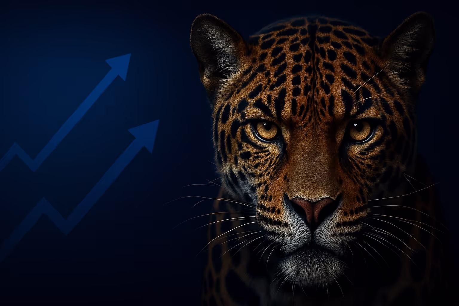 Jaguarlead Affiliate Marketing